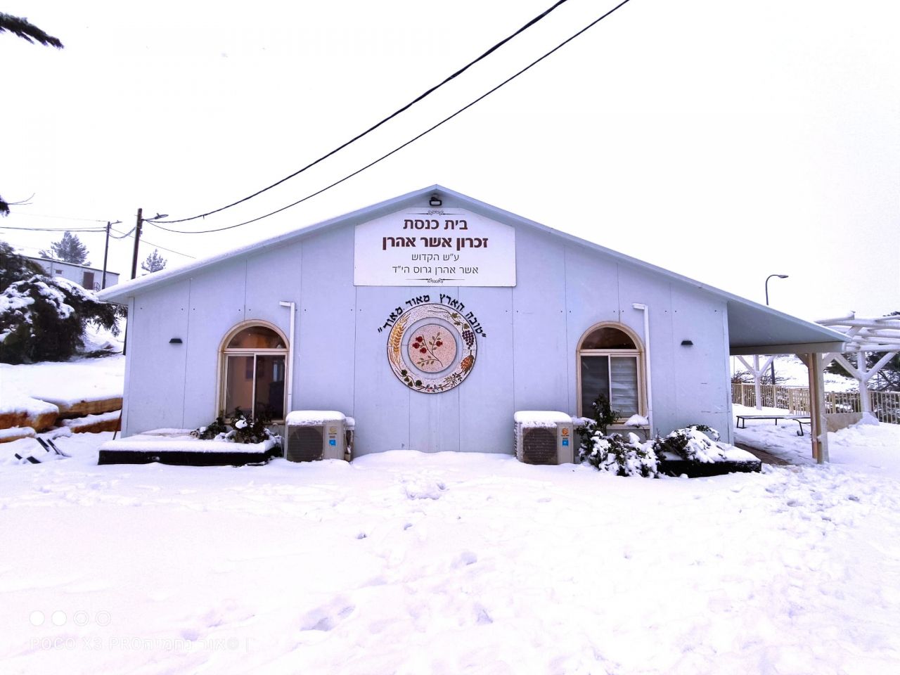 (צילום: אור נחמיה אהרונוב)